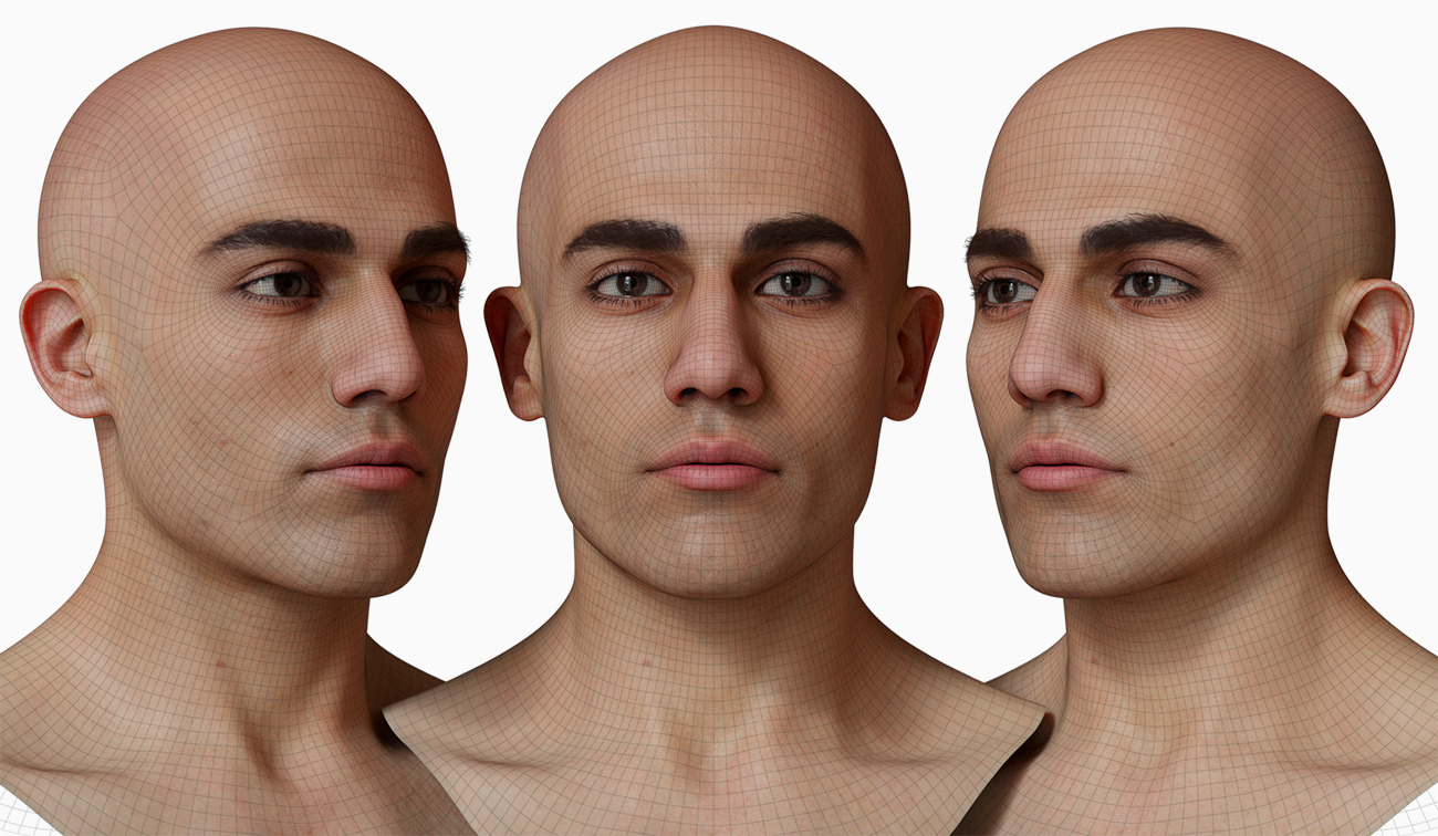 head model wireframe mesh